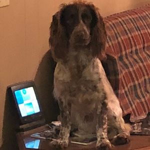 Meet your Posher, Marc